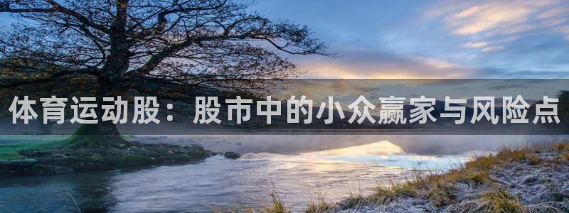 J9官网下载平台注册流程图:体育运动股:股市中的小众赢家与风