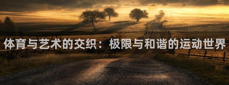 海南J9官网下载:体育与艺术的交织:极限与和谐的运动世界