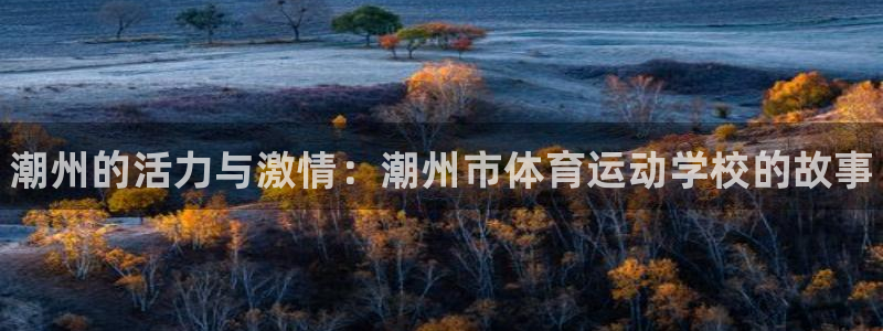 注册J9官方正版app:潮州的活力与激情:潮州市体育运动学校