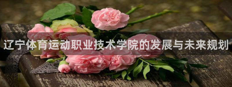 J9官网下载联系电话:辽宁体育运动职业技术学院的发展与未来规