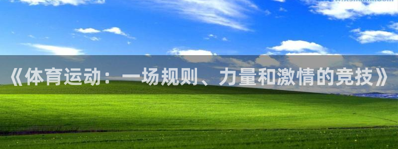 J9官方正版app娱乐:《体育运动:一场规则、力量和激情的竞